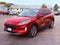 2021 Ford Escape Base