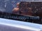 2021 RAM 2500 Base